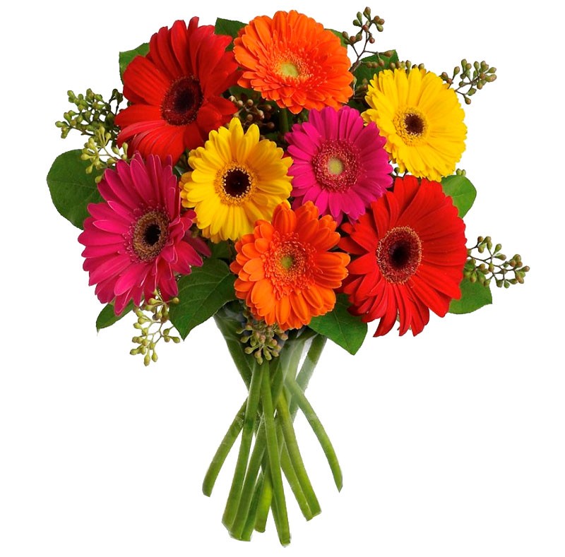 Colorful Gerberas Bouquet