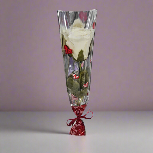 White Rose Bud, Gift-Wrapped