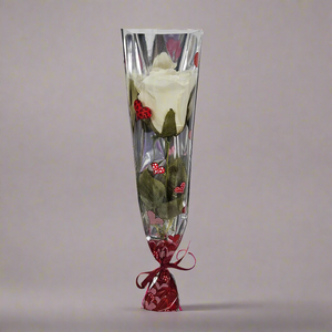 Bocciolo di rosa bianca, confezione regalo
