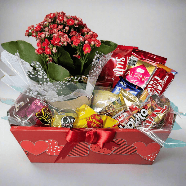 Tender Care Basket with Chocolates & Flowers