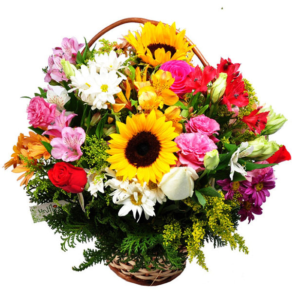 Nobile Basket of Seasonal Flowers
