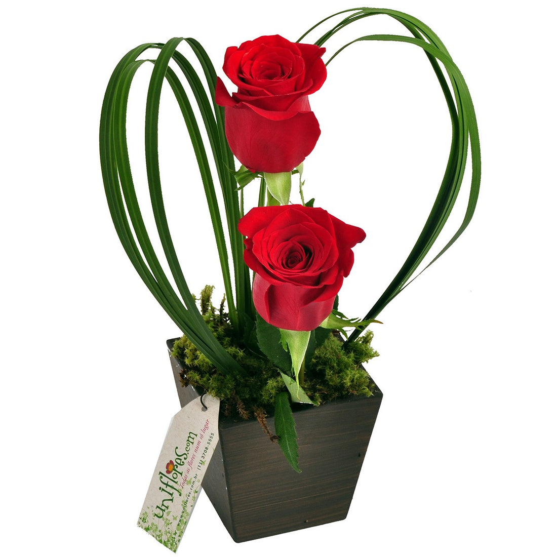 Red Roses Charm in Heart-Shaped Cachepot