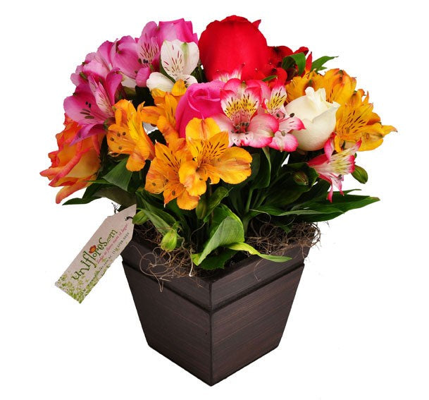 Colorful Alstroemeria & Rose Arrangement in Wooden Cachepot