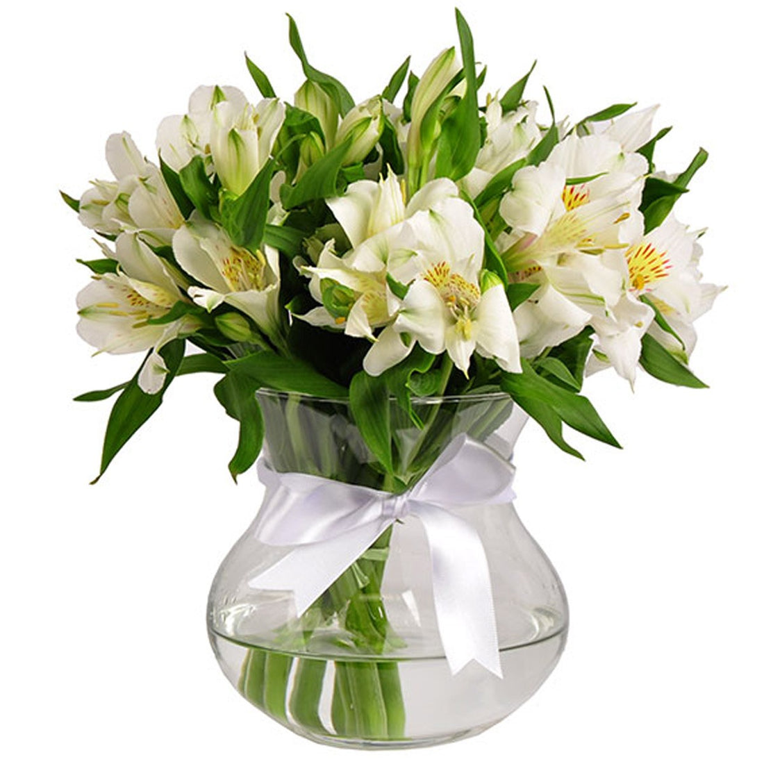 Alstroemeria Harmony in Glass Vase