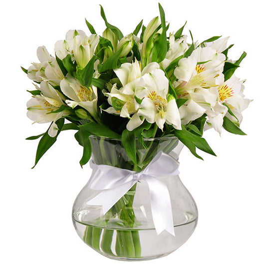 Alstroemeria Harmony in Glass Vase