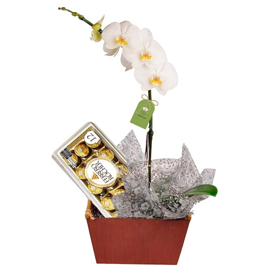 Phalaenopsis Orchid with Ferrero Rocher