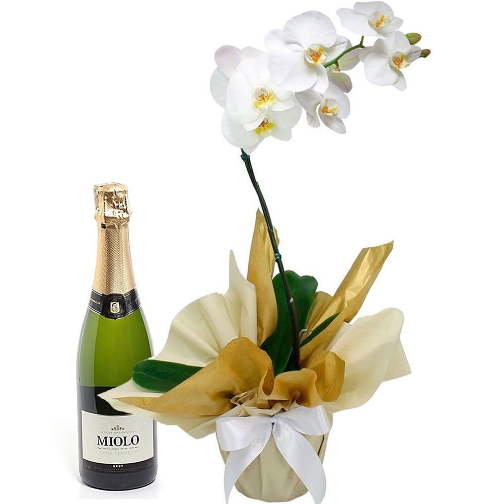 White Phalaenopsis Orchid with Sparkling Wine