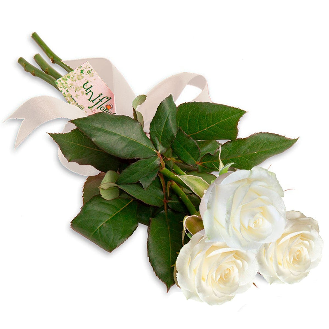 White Roses Bouquet - Mimo of 3 Roses