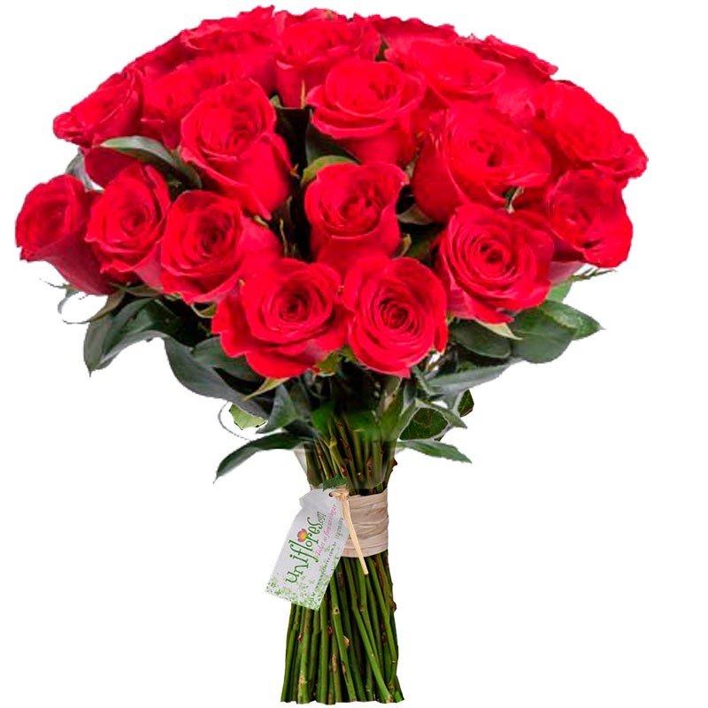 Red Roses Bouquet - Colors and Love