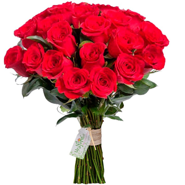 Red Roses Bouquet - Colors and Love